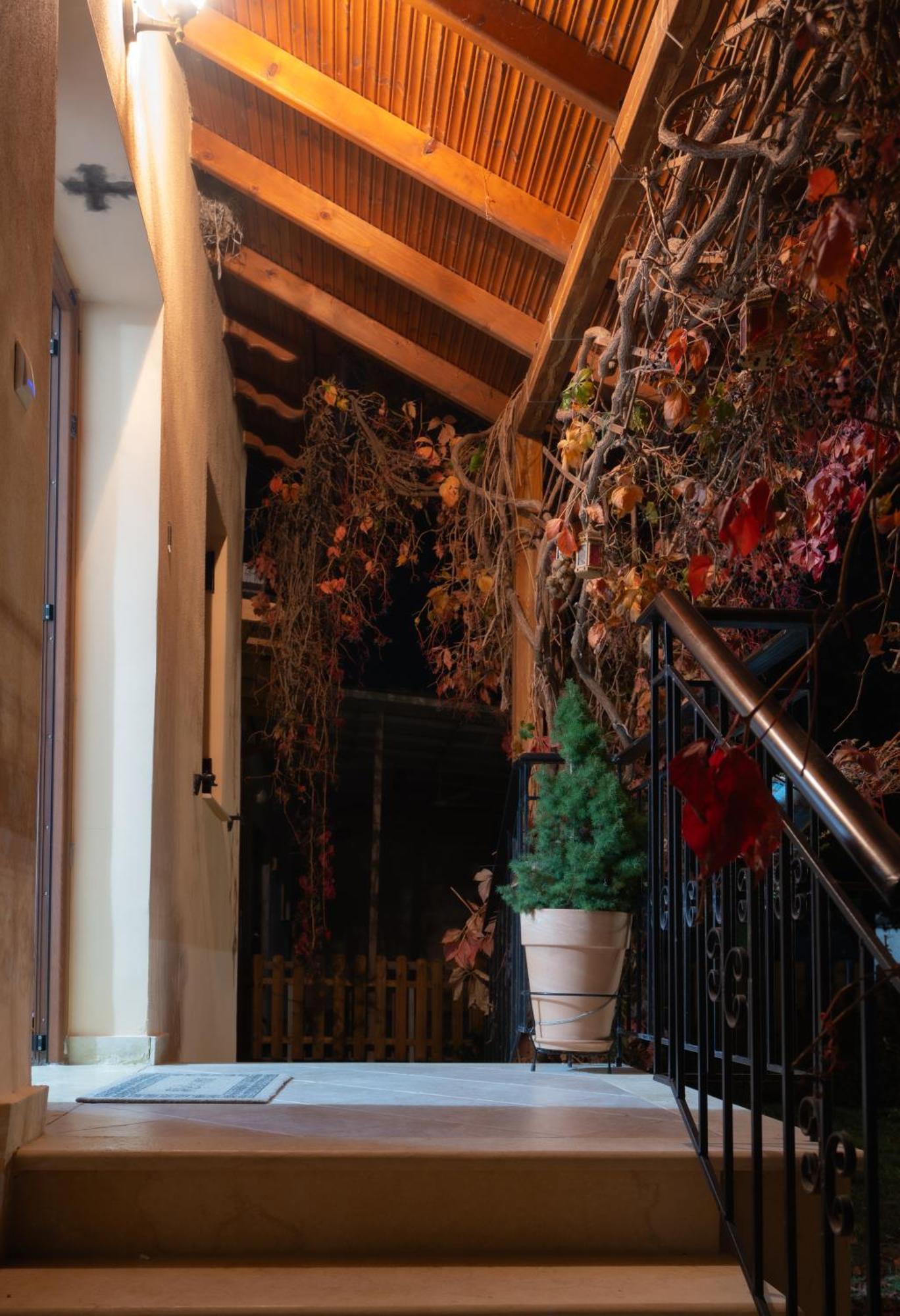 Fyllenia Country Home, Aridaia, Pozar Baths Chrisi 外观 照片